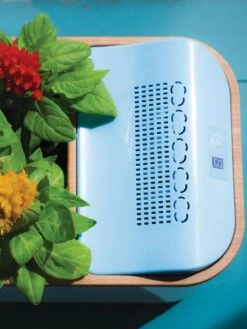 Dewplanter -Garden Supplies Sales 8609512 Dewplanter