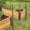 6 Panel Critter Fence With Gate 2 6 Panel Critter Fence With Gate -Garden Supplies Sales 8609844 8458 6 panel critter fence with gate 3 4