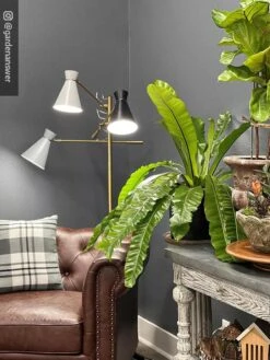 Adjustable 3-Arm Grow Lamp -Garden Supplies Sales 8609868 01IN tif