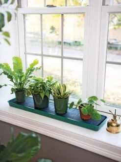 Self-Watering Windowsill Tray -Garden Supplies Sales 8609873 9011 tif