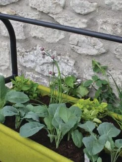 Vigoroot™ Self-Watering Easy Garden Planter -Garden Supplies Sales 8609879 04V tif