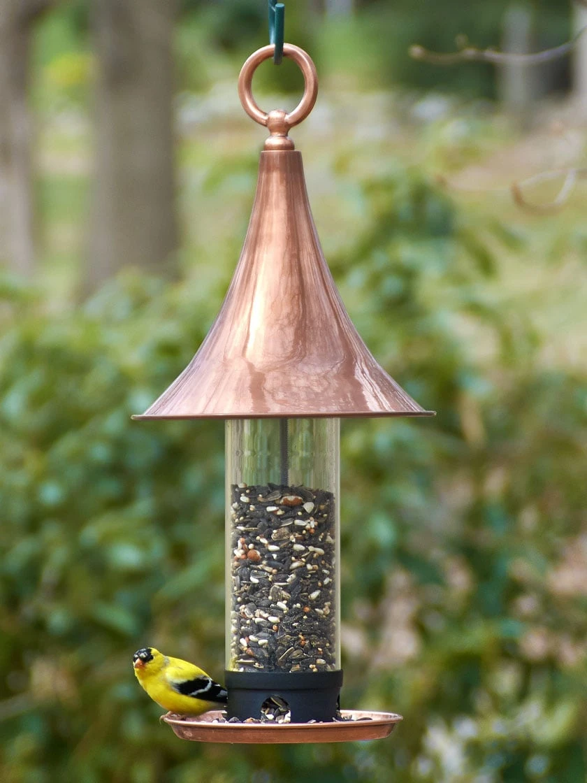 Castella Bird Feeder 3 Castella Bird Feeder