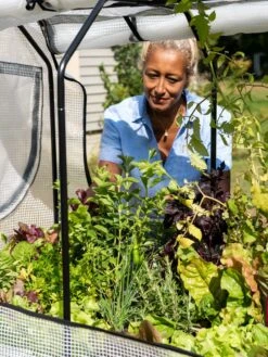 VegTrug®Patio Garden Greenhouse Cover Kit -Garden Supplies Sales 8610172 1256