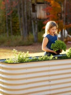 Birdies™ Modular Metal Raised Bed, Tall -Garden Supplies Sales 8610174 5015 tif