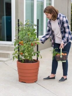 Gardener’s Victory Self-Watering Planter Garden Kit 12 Gardener’s Victory Self-Watering Planter Garden Kit -Garden Supplies Sales 8610239 06002 tif