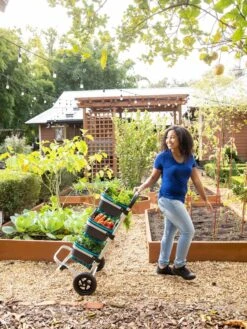 Mod Hod Trolley With Teal Mod Hods -Garden Supplies Sales 8610240 0070 tif