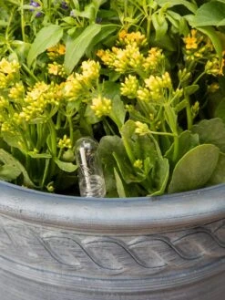 Adjustable Self-Watering Insert For Pots And Planters 21 Adjustable Self-Watering Insert For Pots And Planters -Garden Supplies Sales 8610250 0010 tif