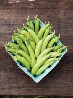 Family Garden Organic Seed Collection, Set Of 7 -Garden Supplies Sales 8610262 cascadia peas 01V tif