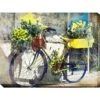 Blue And Yellow Bike Outdoor Wall Art,