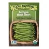 Antigua Bush Bean Organic Seeds -Garden Supplies Sales 8610283 9987 antigua bush bean organic seeds