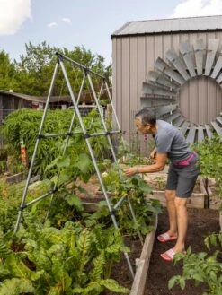 Connector Kit For DIY A Frame Plant Support -Garden Supplies Sales 8610366 7584 tif