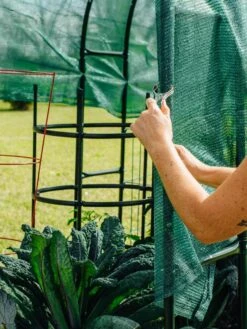 Maxi Garden Hoops With Clips -Garden Supplies Sales 8610372 368 tif