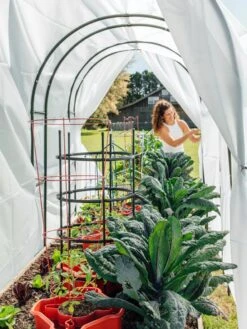 Maxi Garden Hoops With Clips -Garden Supplies Sales 8610373 377 tif