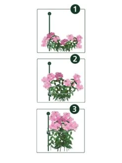 Peacock Mini Plant Support Rings 4", Set Of 2 11 Peacock Mini Plant Support Rings 4", Set Of 2 -Garden Supplies Sales 8610383 07v