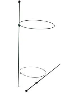 Peacock Classic Plant Support Rings 15", Set Of 2 -Garden Supplies Sales 8610384 9562 tif