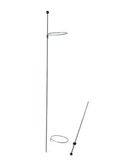 Peacock Mini Plant Support Rings 4", Set Of 2 14 Peacock Mini Plant Support Rings 4", Set Of 2 -Garden Supplies Sales 8610386 9566