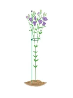 Peacock Mini Plant Support Rings 4", Set Of 2 12 Peacock Mini Plant Support Rings 4", Set Of 2 -Garden Supplies Sales 8610386 peacock4x36