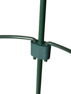 Peacock Mini Plant Support Rings 4", Set Of 2 17 Peacock Mini Plant Support Rings 4", Set Of 2 -Garden Supplies Sales 8610387 9577