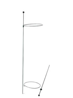 Peacock Mini Plant Support Rings 8", Set Of 2 -Garden Supplies Sales 8610388 9565 tif