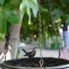 Floral Motif Hanging Birdbath -Garden Supplies Sales 8610562 02v twin bird floral hanging birdbath