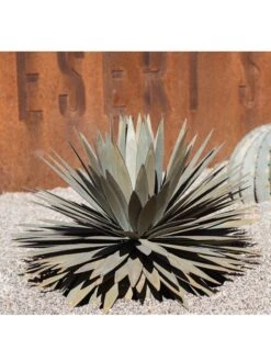 Desert Steel Yucca Plant Sculpture 9 Desert Steel Yucca Plant Sculpture -Garden Supplies Sales 8610744 02v