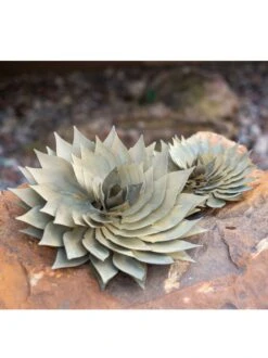 Desert Steel Spiral Aloe Sculpture -Garden Supplies Sales 8610749 03v