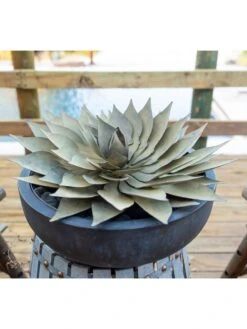 Desert Steel Spiral Aloe Sculpture -Garden Supplies Sales 8610750 02v