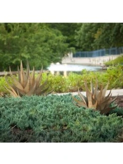 Desert Steel Sharkskin Agave Sculpture -Garden Supplies Sales 8610753 05v