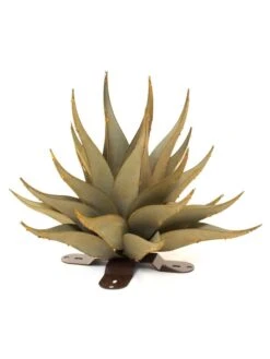 Desert Steel Sharkskin Agave Sculpture -Garden Supplies Sales 8610754 01v desert steel sharkskin agave small