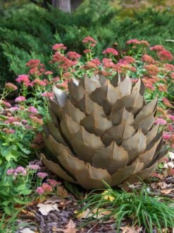 Desert Steel Artichoke Agave Sculpture -Garden Supplies Sales 8610761 03v