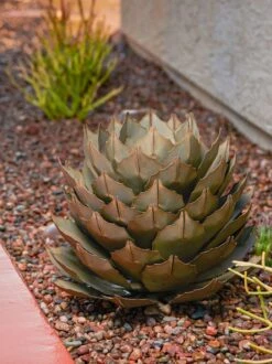 Desert Steel Artichoke Agave Sculpture -Garden Supplies Sales 8610761 042v