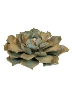 Desert Steel Blue Rose Succulent Sculpture -Garden Supplies Sales 8610763 01v desert steel blue rose succulent small
