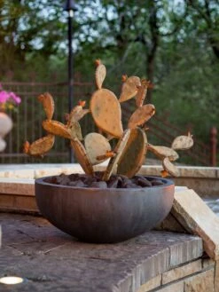 Desert Steel Prickly Pear Cactus Sculpture, Redondo -Garden Supplies Sales 8610768 03v