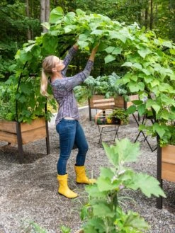 2’ X 8’ Arch Trellis For Planter Boxes 15 2’ X 8’ Arch Trellis For Planter Boxes -Garden Supplies Sales 8610798 050 tif