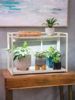 Oslo 1-Tier LED Grow Light Garden 12 Oslo 1-Tier LED Grow Light Garden -Garden Supplies Sales 8611002 2000 tif