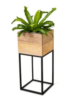 Tartu Elevated Square Planters 20 Tartu Elevated Square Planters -Garden Supplies Sales 8611005 036