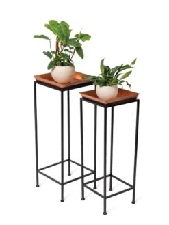 Square Nesting Plant Stands With Trays, Set Of 2 11 Square Nesting Plant Stands With Trays, Set Of 2 -Garden Supplies Sales 8611014 2872 tif
