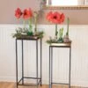 Square Nesting Plant Stands With Trays, Set Of 2 1 Square Nesting Plant Stands With Trays, Set Of 2 -Garden Supplies Sales 8611014 3660 tif