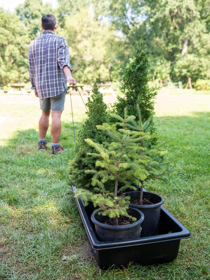 Gardener's Summer Sled And Cover 4 Gardener's Summer Sled And Cover - Image 2