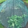 GardenSkill Pop N Crop Plant Umbrella -Garden Supplies Sales 8611105 01V tif