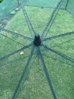 GardenSkill Pop N Crop Plant Umbrella -Garden Supplies Sales 8611105 07V tif