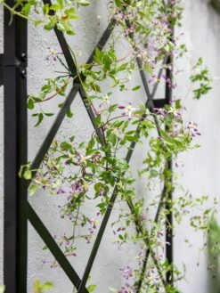 Lattice Gable Wall Trellis -Garden Supplies Sales 8611130 011