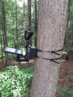 MAXSA® Solar-Powered LED Flag Light -Garden Supplies Sales 8611318 03v