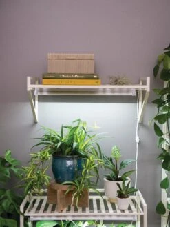 Oslo LED Grow Light Wall Shelf -Garden Supplies Sales 8611516 8400 tif