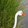 Florida Dancing Birds®, Snow Goose -Garden Supplies Sales 8611632 01v florida dancing birds snow goose