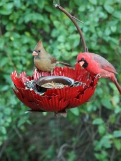 Desert Steel Sunset Peony Bird Feeder