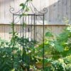 4 Sided Leaf Obelisk, 72" -Garden Supplies Sales 8611658 035 tif