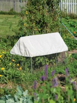 Crop Coop Covers Set -Garden Supplies Sales 8611698 004 tif