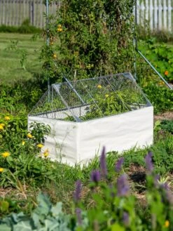 Crop Coop Covers Set -Garden Supplies Sales 8611698 005 tif