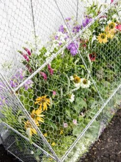 Chicken Wire Flat Back Crop Coop -Garden Supplies Sales 8611701 153 tif
